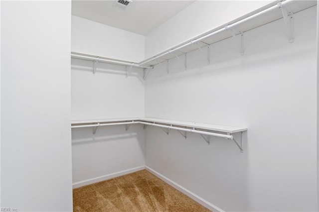 4048 Coronation, Williamsburg, VA 23188 - spacious closet featuring carpet flooring