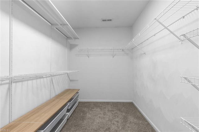1028 Cathedral Dr, Suffolk, VA 23434 - spacious closet with carpet