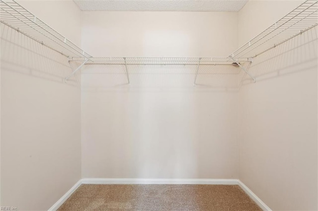 208 Sherbrooke Dr, Newport News, VA 23602 - walk in closet with carpet floors