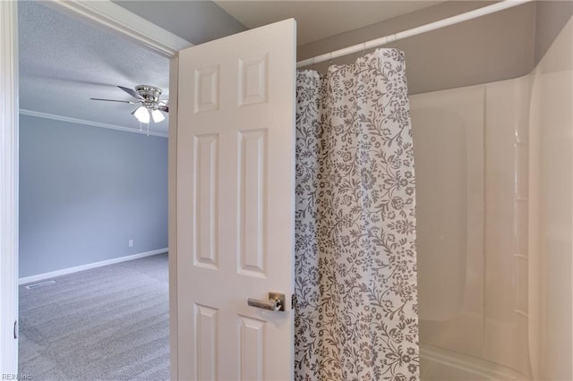 194 Railroad St, Williamsburg, VA 23185 - bathroom with a ceiling fan and a shower with curtain