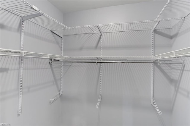 194 Railroad St, Williamsburg, VA 23185 - view of spacious closet