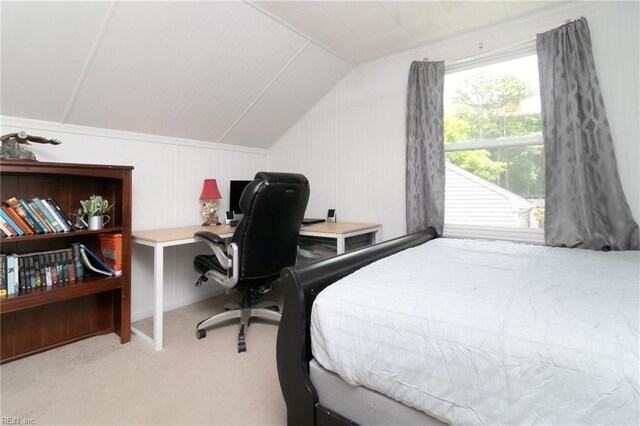 2405 Broadnax Cir, Chesapeake, VA 23323 - bedroom with vaulted ceiling, carpet flooring, and an office area