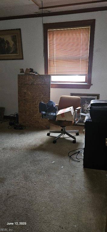 5412 E Princess Anne Rd, Norfolk, VA 23502 - office featuring carpet