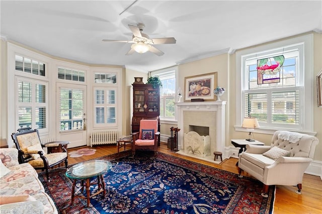 812 Stockley Gdns Unit 2, Norfolk, VA 23507 - living room with radiator, wood finished floors, a fireplace with flush hearth, ornamental molding, and ceiling fan