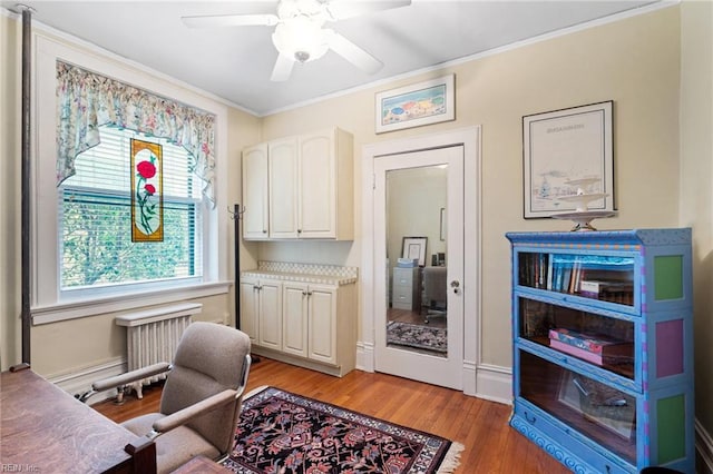 812 Stockley Gdns Unit 2, Norfolk, VA 23507 - office space featuring ornamental molding, light wood-type flooring, ceiling fan, and radiator