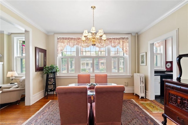 812 Stockley Gdns Unit 2, Norfolk, VA 23507 - dining area with ornamental molding, a chandelier, wood finished floors, and radiator