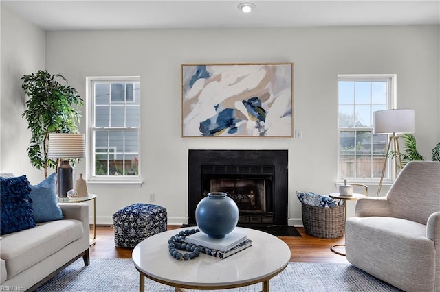 416 27th St, Virginia Beach, VA 23451 - living room featuring wood finished floors, a fireplace with flush hearth, and recessed lighting