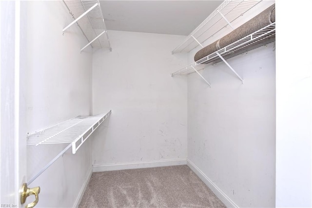 3248 Windsor Rdg, Williamsburg, VA 23188 - walk in closet featuring carpet floors