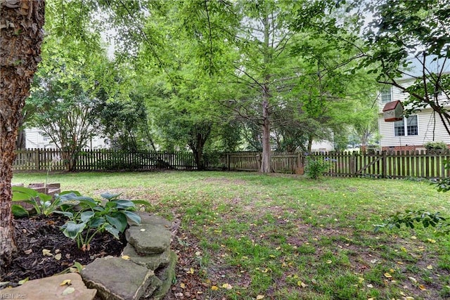 3248 Windsor Rdg, Williamsburg, VA 23188 - view of fenced backyard