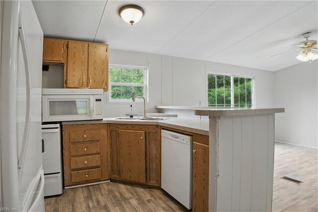 349 Pepper Cove Way, Susan, VA 23163 - kitchen featuring white appliances, a peninsula, brown cabinets, and plenty of natural light