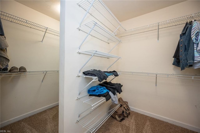 1040 Sanderson Rd, Chesapeake, VA 23322 - walk in closet with carpet flooring
