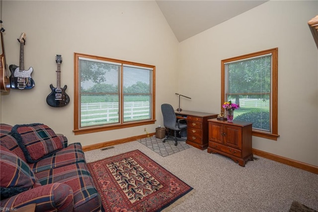 1040 Sanderson Rd, Chesapeake, VA 23322 - office space featuring lofted ceiling, plenty of natural light, and carpet floors