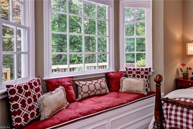 8265 Wrenfield Dr, Williamsburg, VA 23188 - bedroom with multiple windows