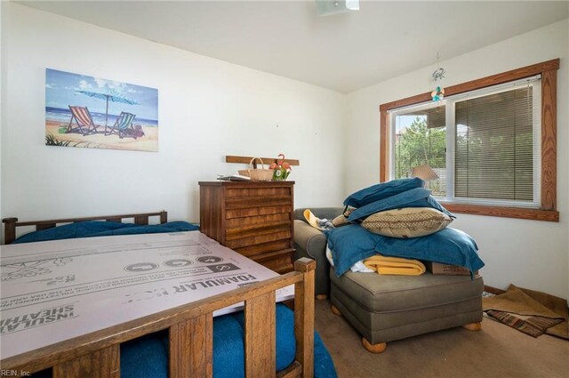 3225 Sandfiddler Rd, Virginia Beach, VA 23456 - view of carpeted bedroom