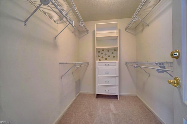 307 Melrose Ct, Suffolk, VA 23434 - walk in closet with light carpet
