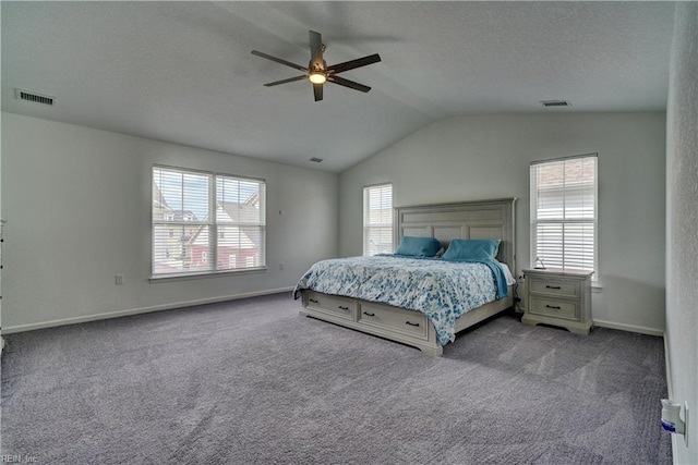 1928 Bexley Ln, Chesapeake, VA 23322 - carpeted bedroom featuring vaulted ceiling, a ceiling fan, and a textured ceiling