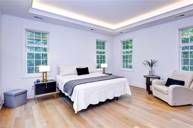3 Menife Ct, Williamsburg, VA 23188 - bedroom featuring a raised ceiling and light wood-style floors