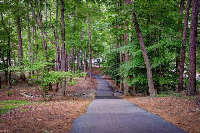 110 Thomas Gates, Williamsburg, VA 23185 - view of community with a forest view