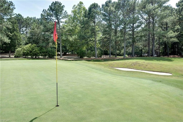 110 Thomas Gates, Williamsburg, VA 23185 - view of home's community featuring view of wooded area, view of golf course, an area to practice putting, and a yard