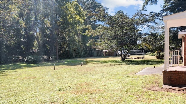 2309 Drum Creek Rd, Chesapeake, VA 23321 - view of green lawn