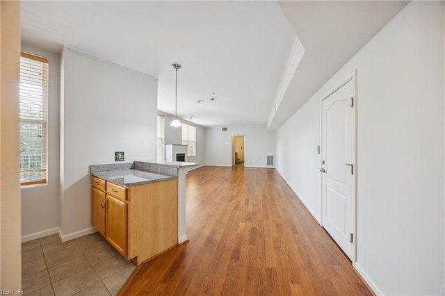 249 W Freemason St Unit 408, Norfolk, VA 23510 - kitchen with a fireplace, hanging light fixtures, light wood-style floors, open floor plan, and a peninsula