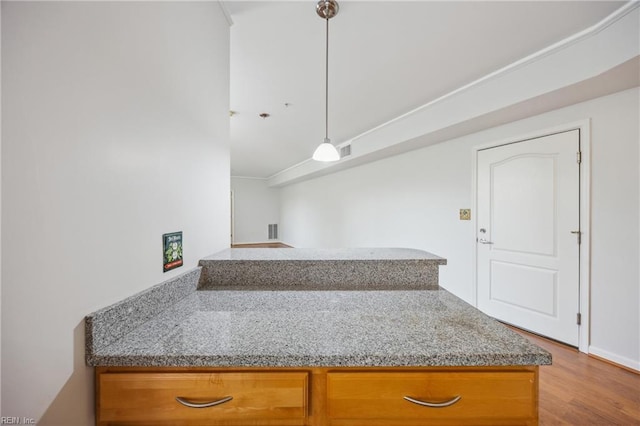 249 W Freemason St Unit 408, Norfolk, VA 23510 - kitchen featuring brown cabinets, wood finished floors, hanging light fixtures, and light stone counters