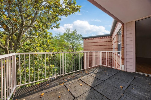 249 W Freemason St Unit 408, Norfolk, VA 23510 - view of balcony