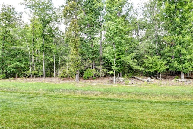 3998 Isaac Cir, Williamsburg, VA 23188 - view of grassy yard