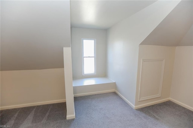 1439 Moultrie Ave, Norfolk, VA 23509 - additional living space featuring carpet flooring and lofted ceiling
