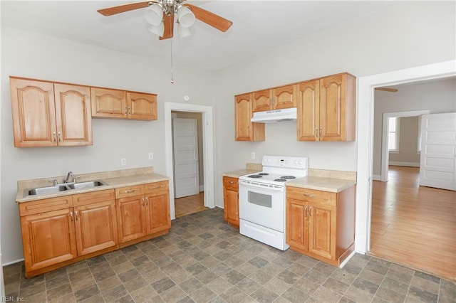 1439 Moultrie Ave, Norfolk, VA 23509 - kitchen featuring white range with electric cooktop, under cabinet range hood, a ceiling fan, light countertops, and stone finish flooring