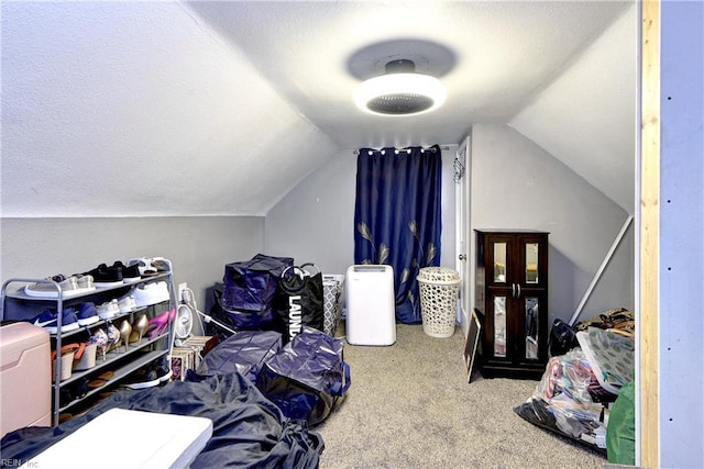 387 Sampson Ave, Hampton, VA 23661 - bonus room with carpet floors and lofted ceiling