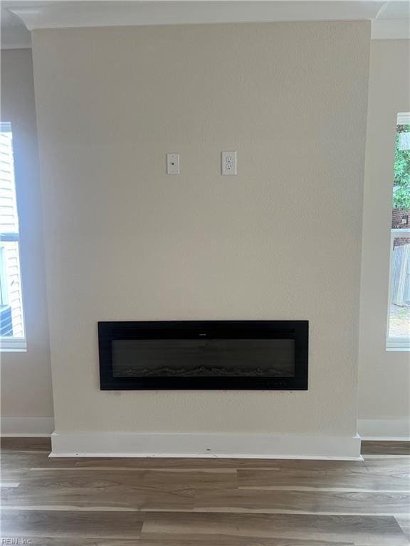1635 E Bayview Blvd, Norfolk, VA 23503 - detailed view of a glass covered fireplace and wood finished floors