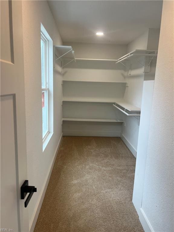 1635 E Bayview Blvd, Norfolk, VA 23503 - walk in closet with carpet