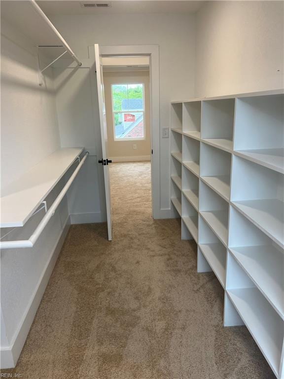 1635 E Bayview Blvd, Norfolk, VA 23503 - walk in closet featuring carpet flooring
