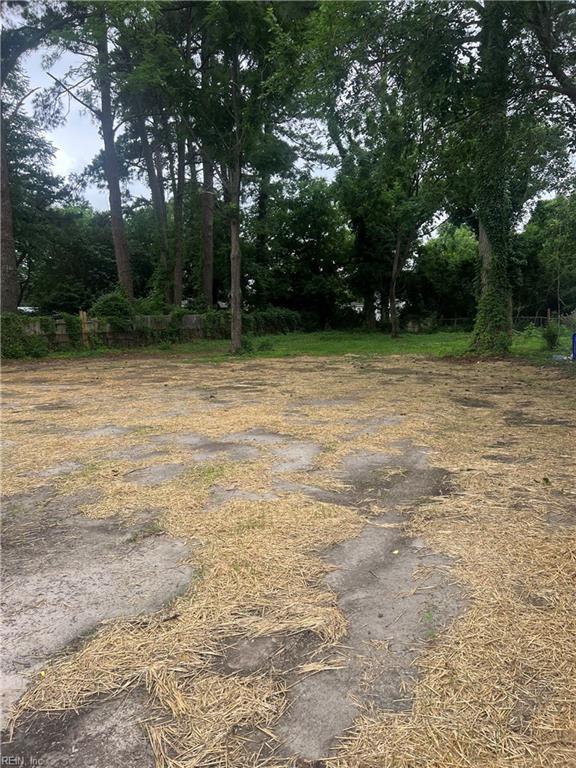 1635 E Bayview Blvd, Norfolk, VA 23503 - view of yard