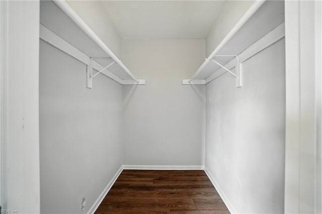 2317 Esplanade Dr, Virginia Beach, VA 23456 - walk in closet with dark wood-style flooring