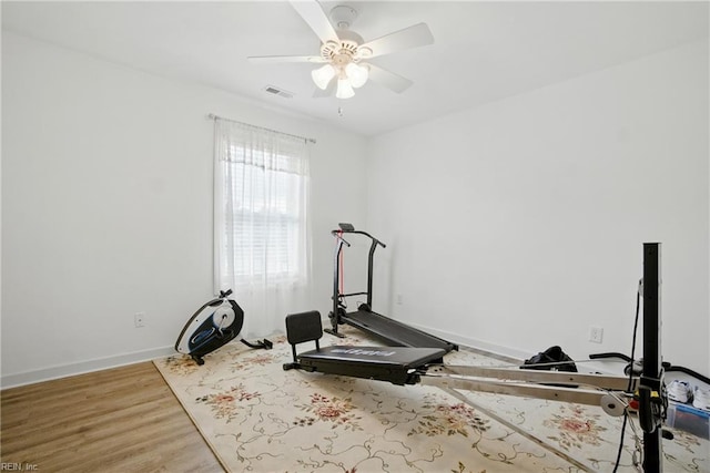 734 Gallbush Rd, Chesapeake, VA 23322 - exercise room featuring wood finished floors and a ceiling fan