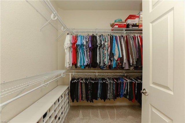 911 Vineyard Pl Unit # C, Suffolk, VA 23435 - spacious closet with carpet