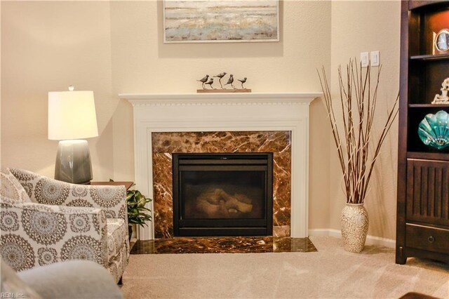 911 Vineyard Pl Unit # C, Suffolk, VA 23435 - detailed view of a premium fireplace
