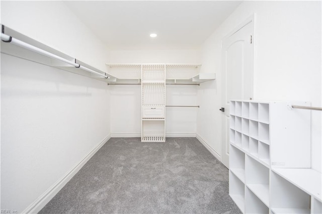 3760 Nansemond Pkwy, Suffolk, VA 23435 - walk in closet with carpet floors