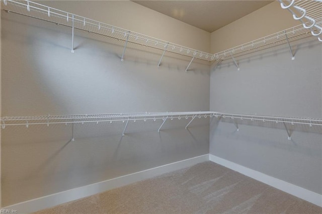 1501 Cedarville Ct, Chesapeake, VA 23322 - walk in closet with carpet floors