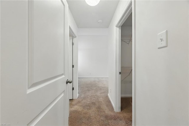 1506 Waltham Ln, Newport News, VA 23608 - hallway featuring carpet floors and baseboards