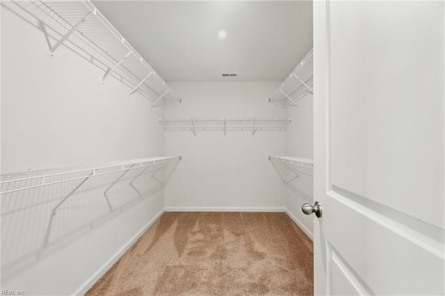 1506 Waltham Ln, Newport News, VA 23608 - walk in closet featuring carpet