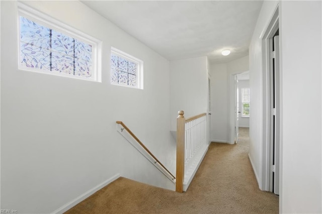 3494 Prices Fork Blvd, Suffolk, VA 23435 - hallway featuring an upstairs landing and carpet flooring