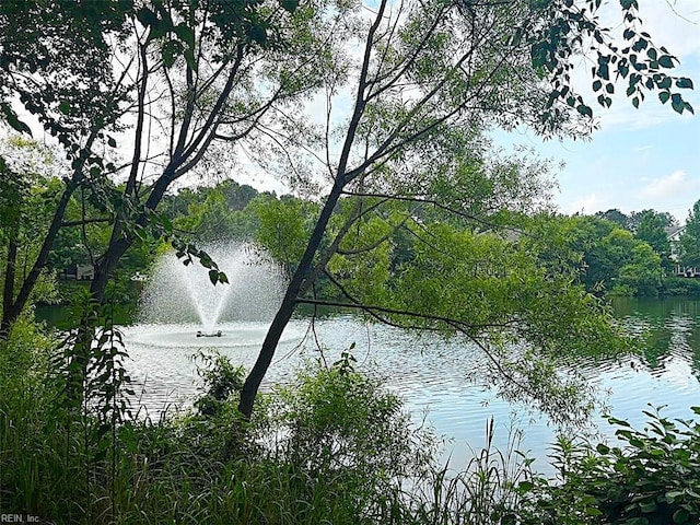 3494 Prices Fork Blvd, Suffolk, VA 23435 - water view