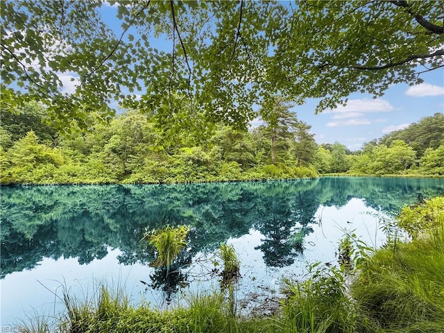 229 Skipjack Ln, Hallieford, VA 23068 - water view featuring a forest