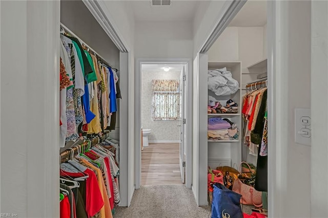 1010 Legends Way, Suffolk, VA 23435 - spacious closet with carpet floors