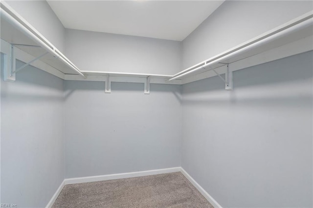 7600 Bridgette Ln, Norfolk, VA 23518 - walk in closet with carpet flooring