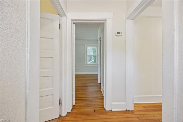 5004 Powhatan Ave, Norfolk, VA 23508 - hall featuring light wood-style floors and baseboards