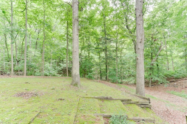 205 Haradd Ln, Williamsburg, VA 23188 - view of yard with a wooded view